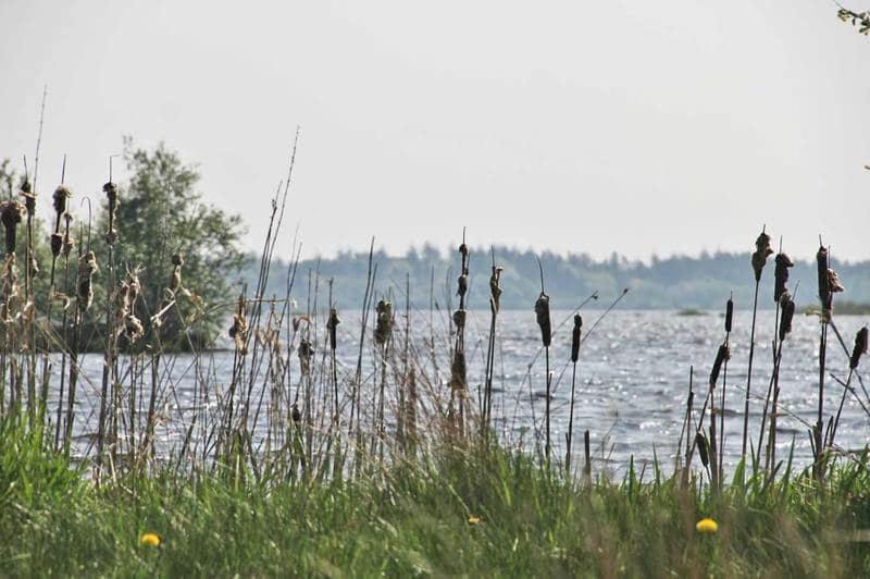 Engesvang Bed&Breakfast Bagian luar foto